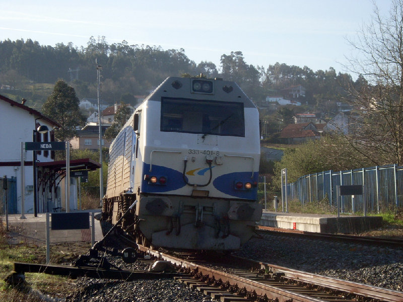 SL377029.JPG