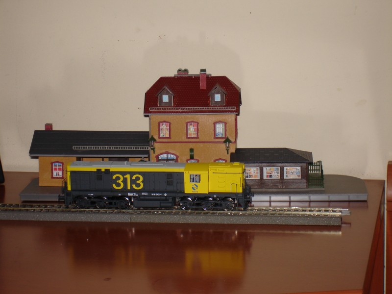 313.jpg