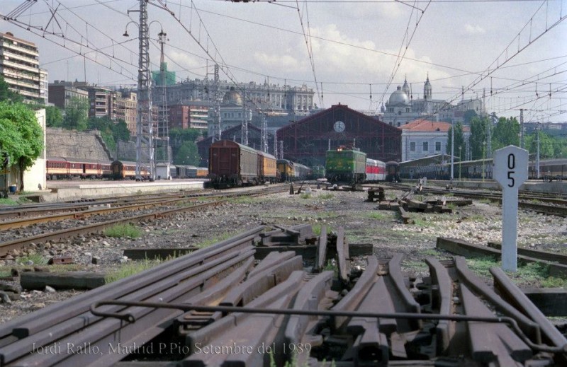 7487.jpg