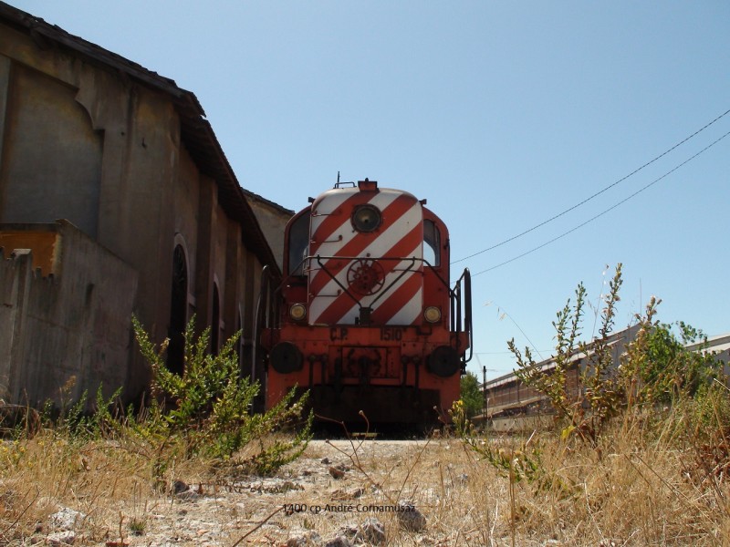 DSC01514.JPG