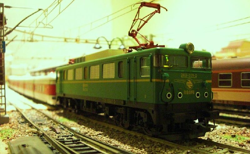 CIMG6710.JPG
