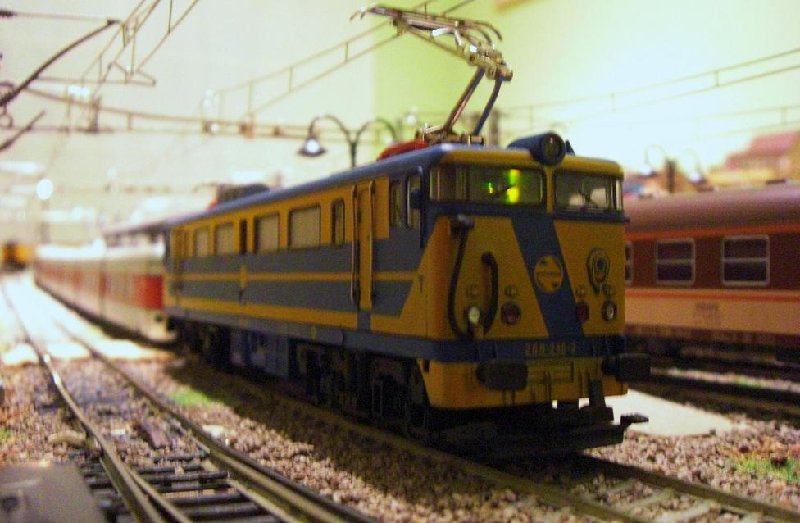 CIMG6708.JPG