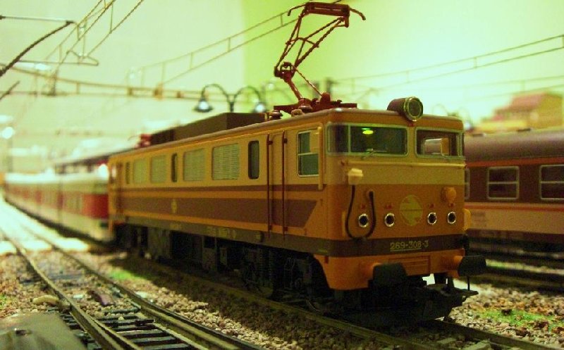 CIMG6711.JPG