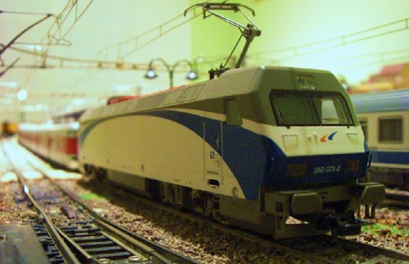 CIMG6701.JPG