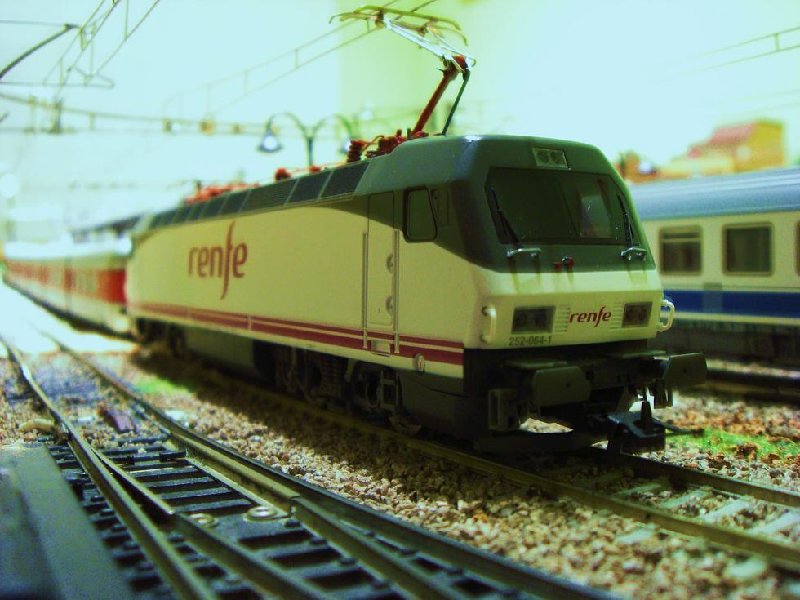 CIMG6703.JPG