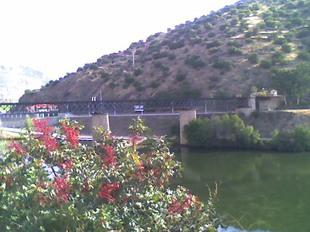 picture002.jpg