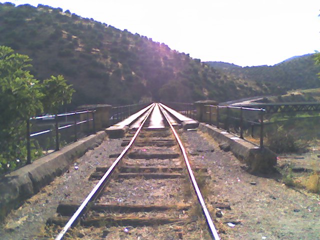 picture006.jpg