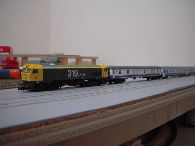 DSCN0789.JPG