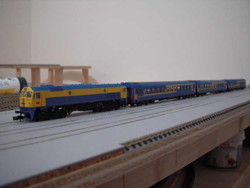 DSCN0796.JPG