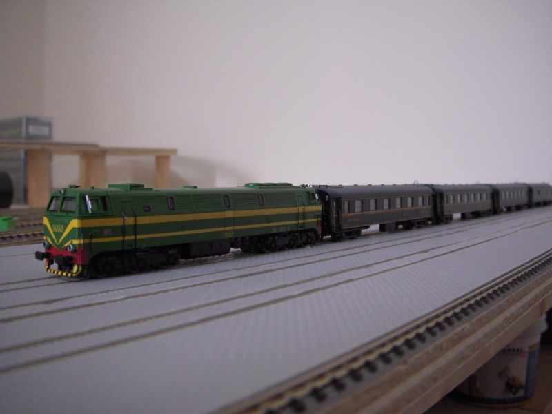 DSCN0798.JPG