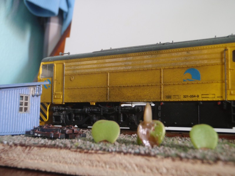 PB150229.JPG