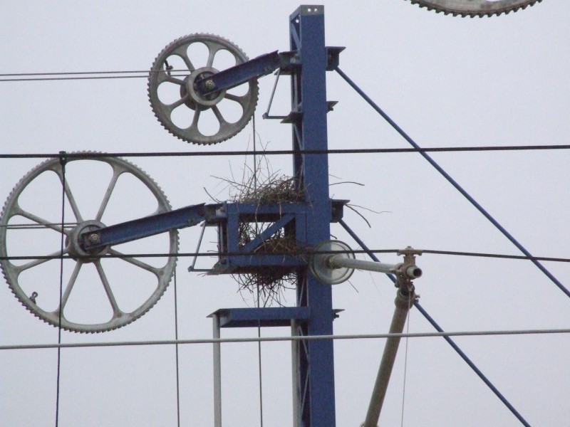 DSCF5725.JPG