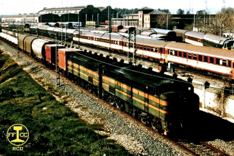 8009.JPG