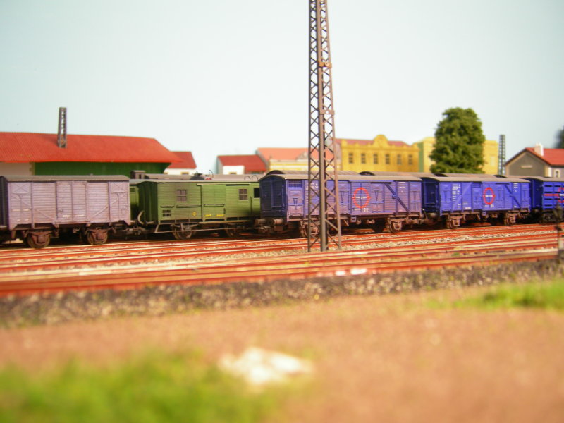 DSCN4997.JPG
