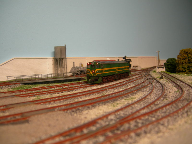DSCN4994.JPG
