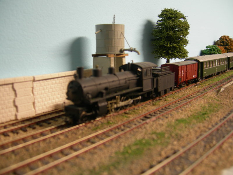 DSCN4993.JPG