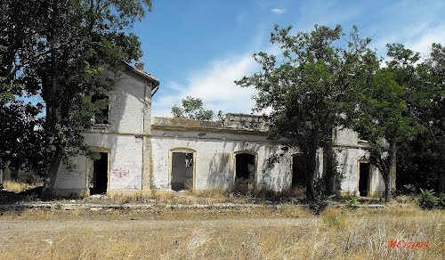 ESTACION DE CAMPO REAL.jpg