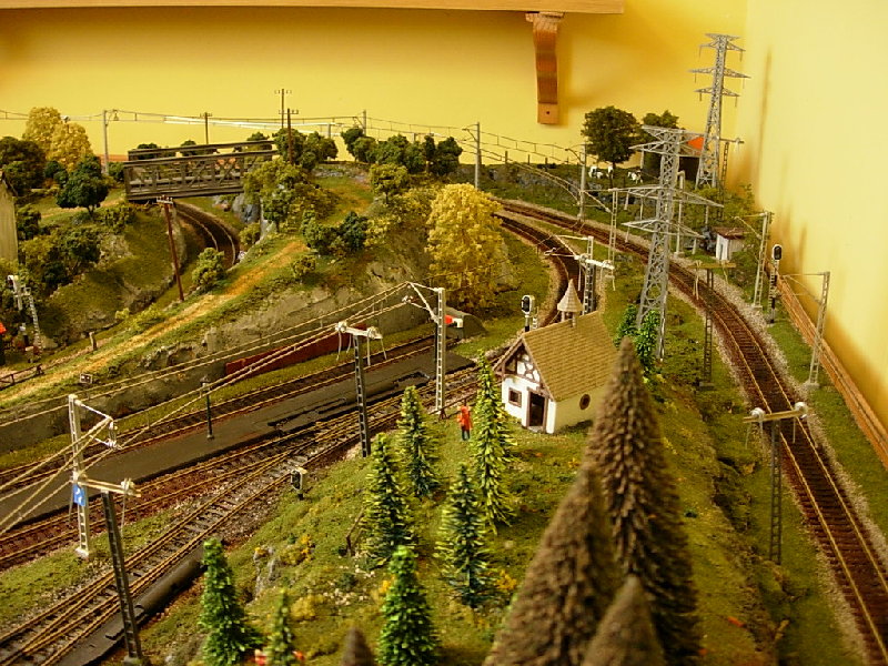 DSCN4196.JPG