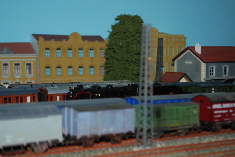 DSC_0052.JPG