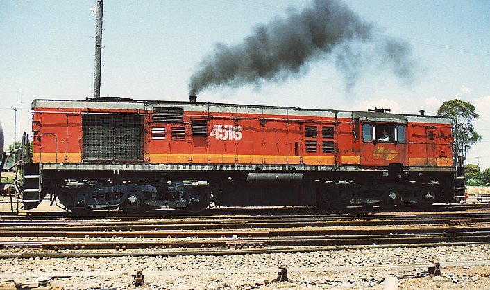 8026.JPG