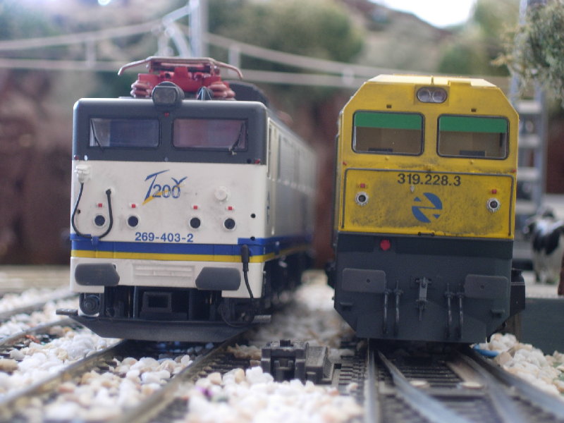 Dscn5491.jpg