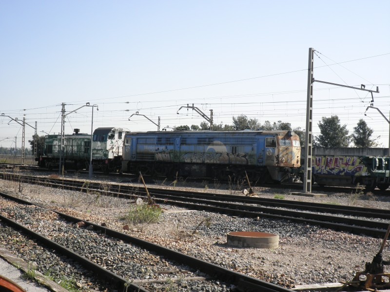 PB161701.JPG