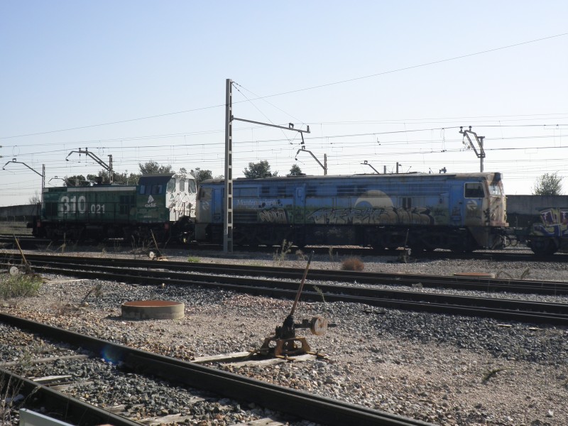 PB161703.JPG