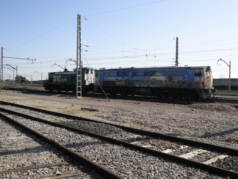 PB161705.JPG