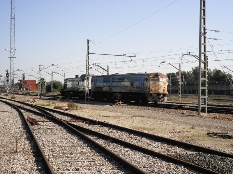 PB161706.JPG