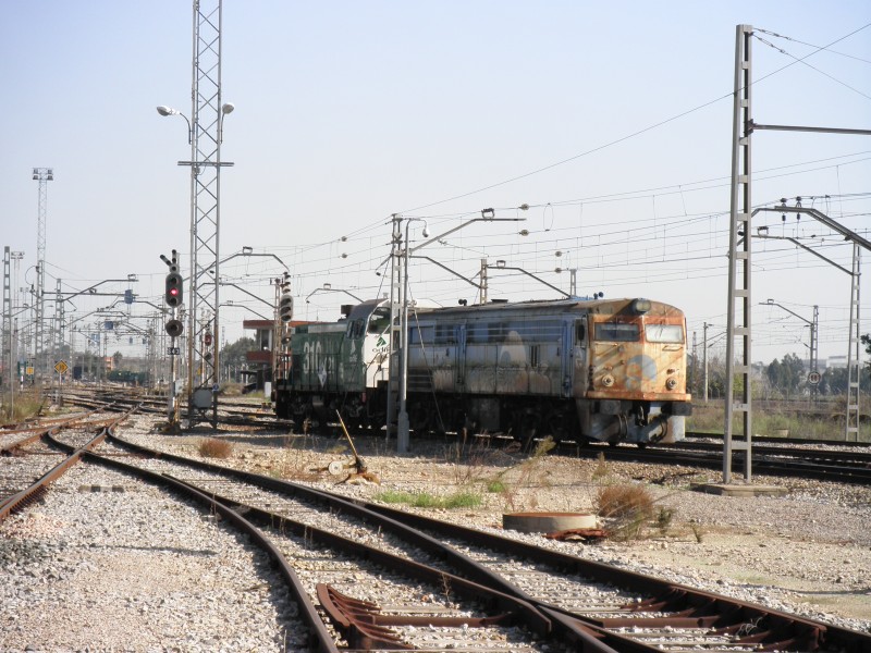 PB161707.JPG