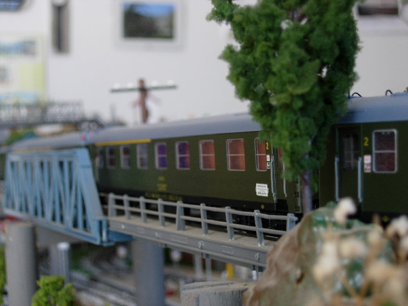 Dscn0729.jpg