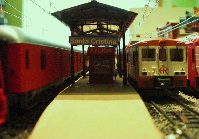 CIMG6773.JPG