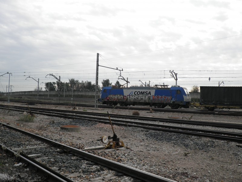 PB261726.JPG