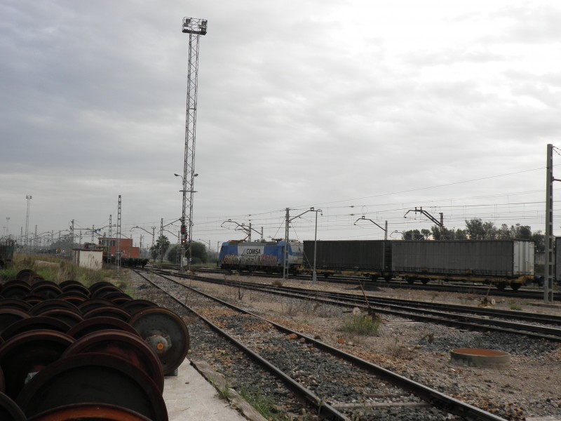 PB261727.JPG