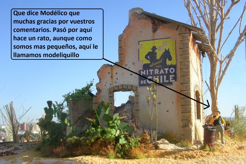 DSCN6609 - copia.JPG