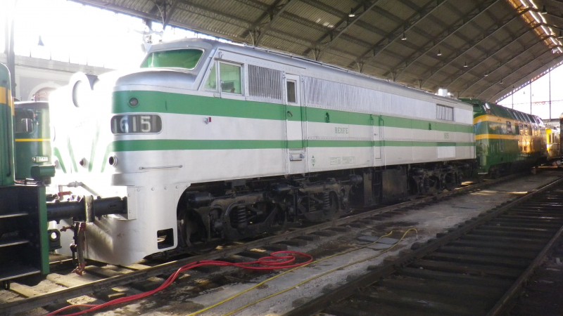 IMGP6878.JPG