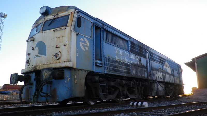 IMGP6653.JPG