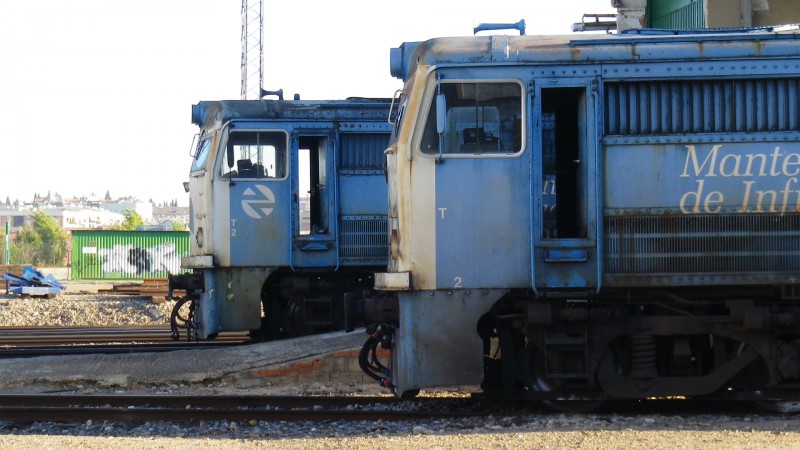 IMGP6683.JPG