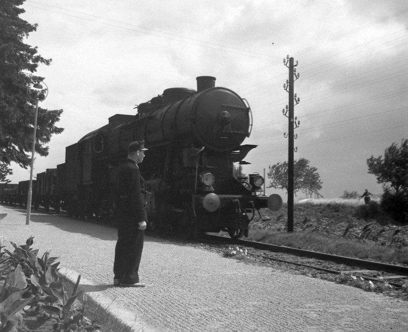 6178.jpg
