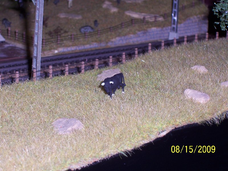 100_3487.jpg