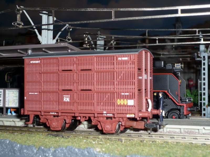 FGv96901.JPG