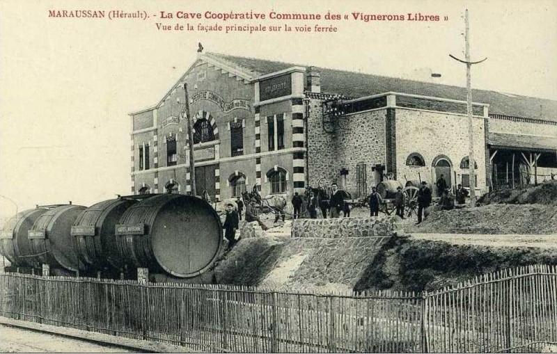 MARAUSSAN - Bodegas Cooperativa Les Vignerons Libres.jpg