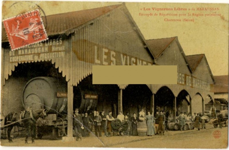 MARAUSSAN - Bodegas Les Vignerons Libres.jpg