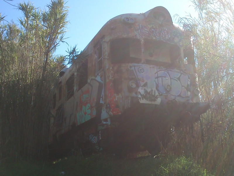 DSC_0180.JPG