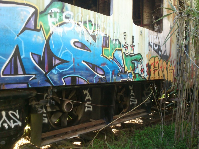 DSC_0183.JPG