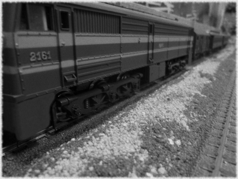 P1030812b&n.JPG