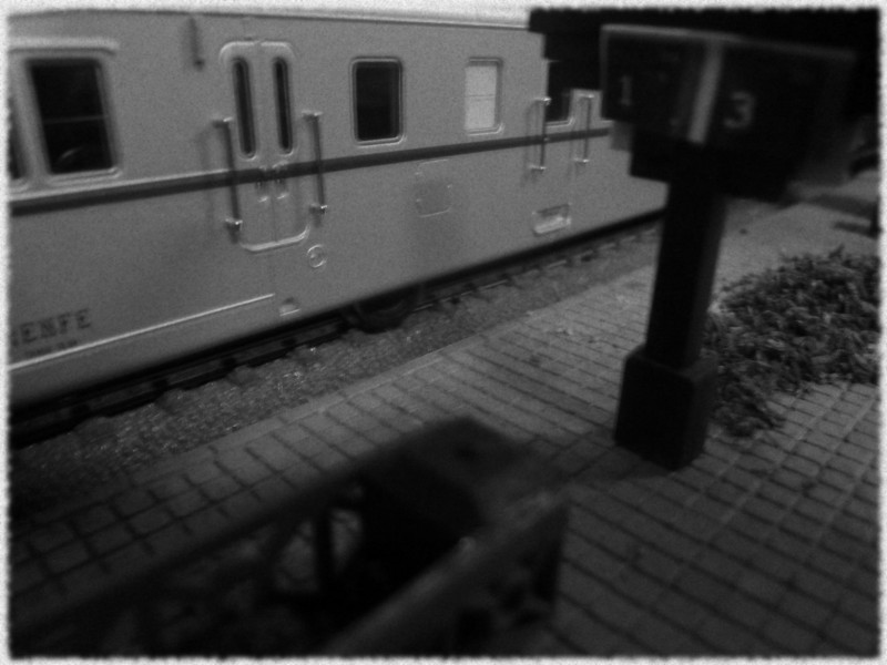 P1030816b&n.JPG