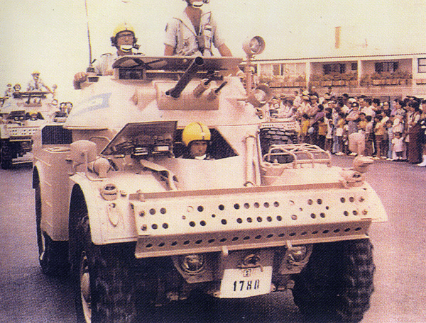 AML-60.gif