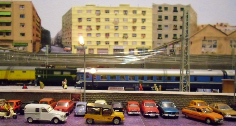 CIMG0335.JPG