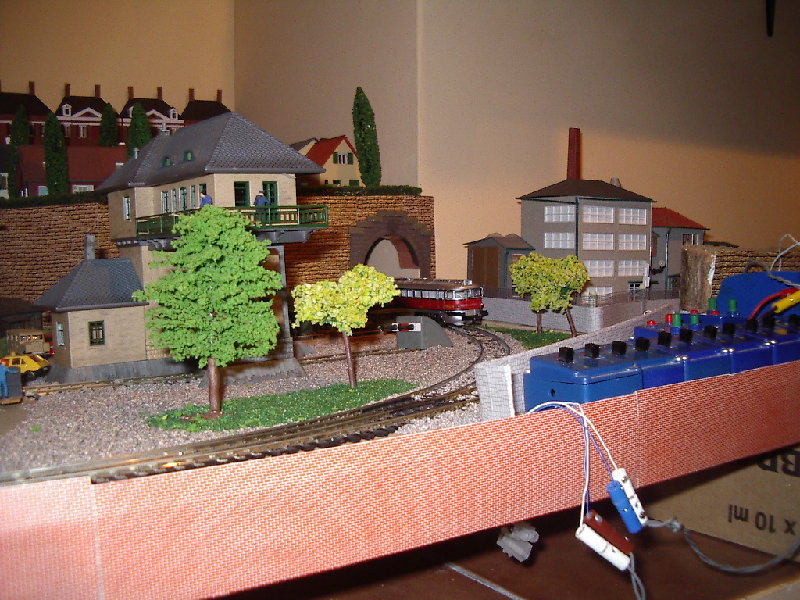 IMGP3355.JPG